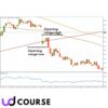 Pollinate Trading - Swing Beast Momentum Strategy