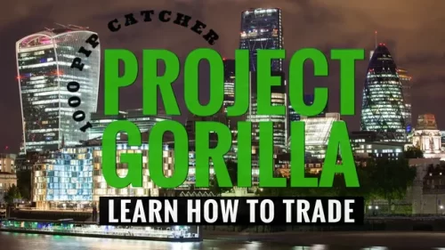 Project Gorilla – Learn How to Trade