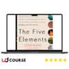 Living the Five Elements by Donna Eden