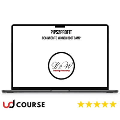Pips2Profit – Beginner To Winner Boot Camp