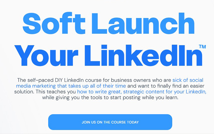 Nicole Marguerite Gray – Soft Launch Your LinkedIn